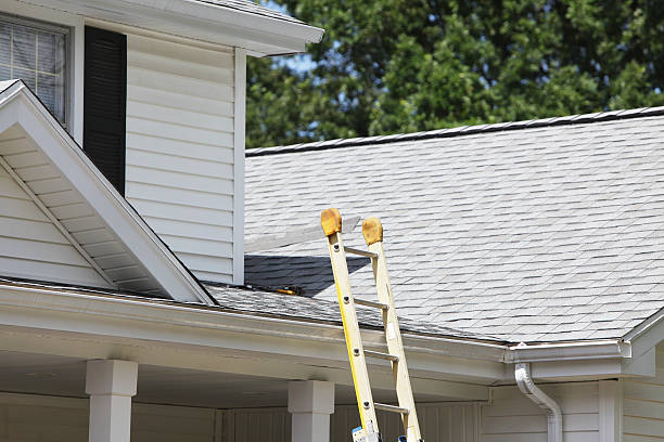 Best Custom Siding Design  in Snyderville, UT